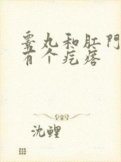 睾丸和肛门之间有个疙瘩