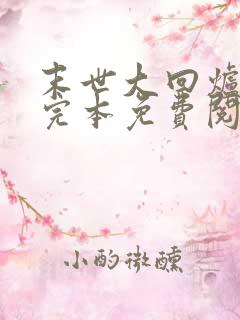 末世大回炉小说完本免费阅读