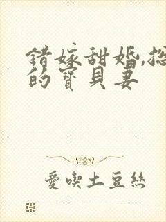 错嫁甜婚,总裁的宝贝妻