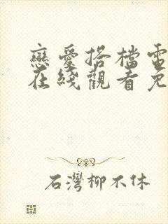 恋爱搭档电视剧在线观看免费