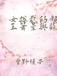 女总裁的超级兵王萧晨与苏晴