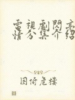 电视剧闪亮爱剧情分集介绍