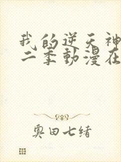 我的逆天神器第二季动漫在线观看