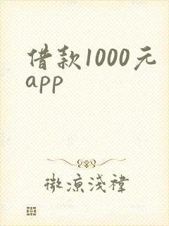 借款1000元app
