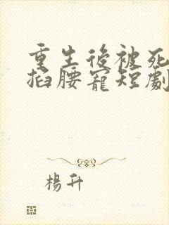 重生后被死对头掐腰宠短剧