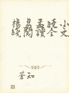 杨易孟晓小说在线阅读全文