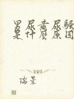 男尿黄尿骚味重是什么原因