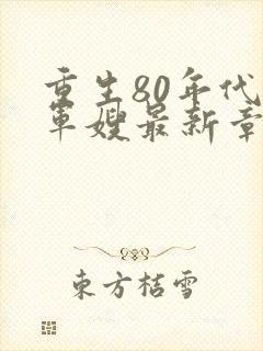 重生80年代当军嫂最新章节