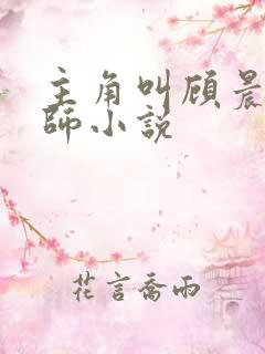 主角叫顾晨的律师小说