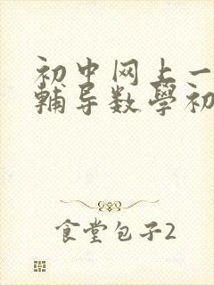 初中网上一对一辅导数学初三