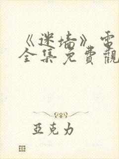 《迷墙》电视剧全集免费观看