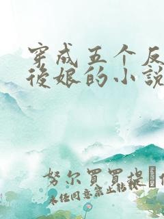 穿成五个反派的后娘的小说