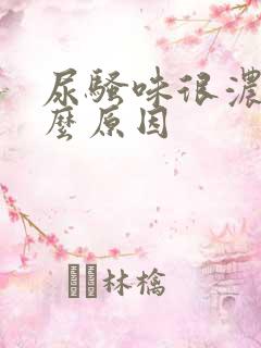 尿骚味很浓是什么原因