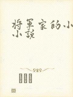 将军家的小公子小说