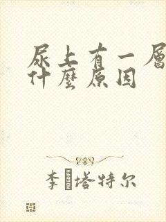 尿上有一层油是什么原因