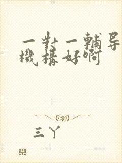 一对一辅导哪个机构好啊