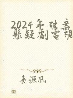 2024年破案悬疑剧电视剧