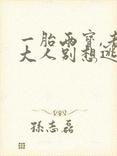 一胎两宝,老婆大人别想逃