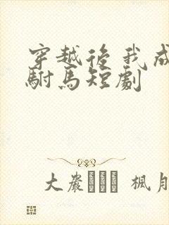 穿越后 我成了驸马短剧