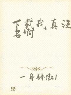 下载我真没想出名啊