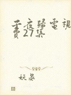 子夜归电视剧免费27集