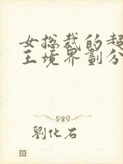 女总裁的超级兵王境界划分