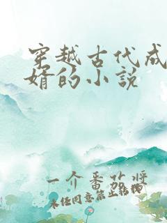 穿越古代成为赘婿的小说