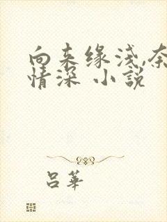 向来缘浅,奈何情深 小说