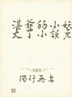 湛爷的小妖精长大了小说免费阅读