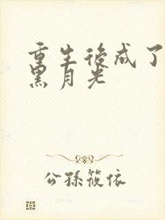 重生后成了权臣黑月光