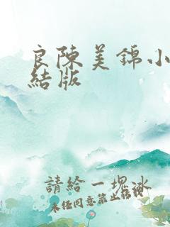 良陈美锦小说完结版