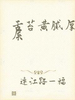 舌苔黄腻厚有眼屎