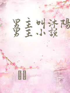 男主叫沐阳的双男主小说