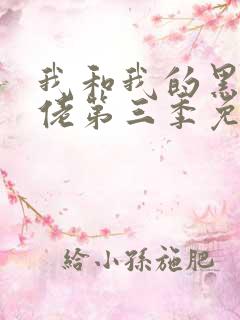 我和我的黑帮大佬第三季免费观看