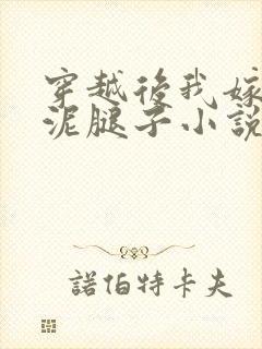 穿越后我嫁给了泥腿子小说免费