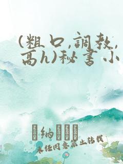 (粗口,调教,高h)秘书小说