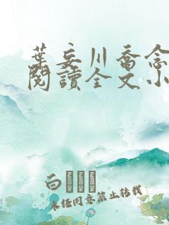 叶妄川乔念免费阅读全文小说