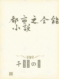 都市之全能高手 小说