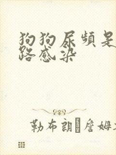 狗狗尿频是尿路路感染