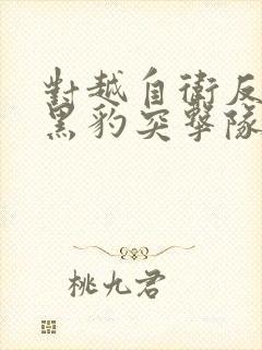 对越自卫反击战黑豹突击队