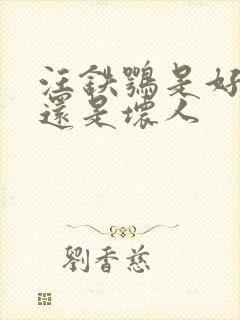 汪铁鹗是好人吗还是坏人