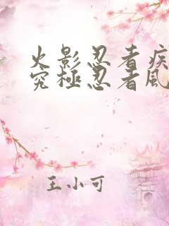 火影忍者疾风传究极忍者风暴下载