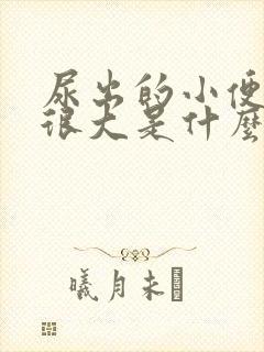 尿出的小便味道很大是什么原因