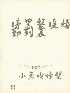 暗黑系暖婚新章节列表