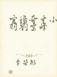 官场奇才小说陆羽刘云峰