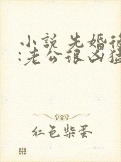 小说 先婚后爱:老公很凶猛