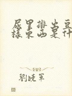 尿里排出豆腐渣样东西是什么