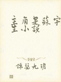 主角是苏宇的重生小说