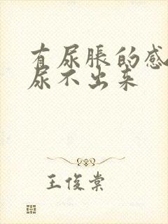 有尿胀的感觉却尿不出来