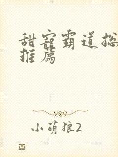 甜宠霸道总裁文推荐